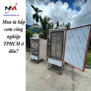 Mua tủ hấp cơm công nghiệp TPHCM ở đâu?