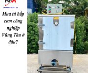 Mua tủ hấp cơm công nghiệp Vũng Tàu ở đâu?