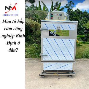 Mua tủ hấp cơm công nghiệp Bình Định ở đâu?