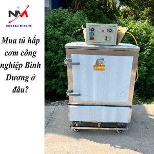 Mua tủ hấp cơm công nghiệp Bình Dương ở đâu?